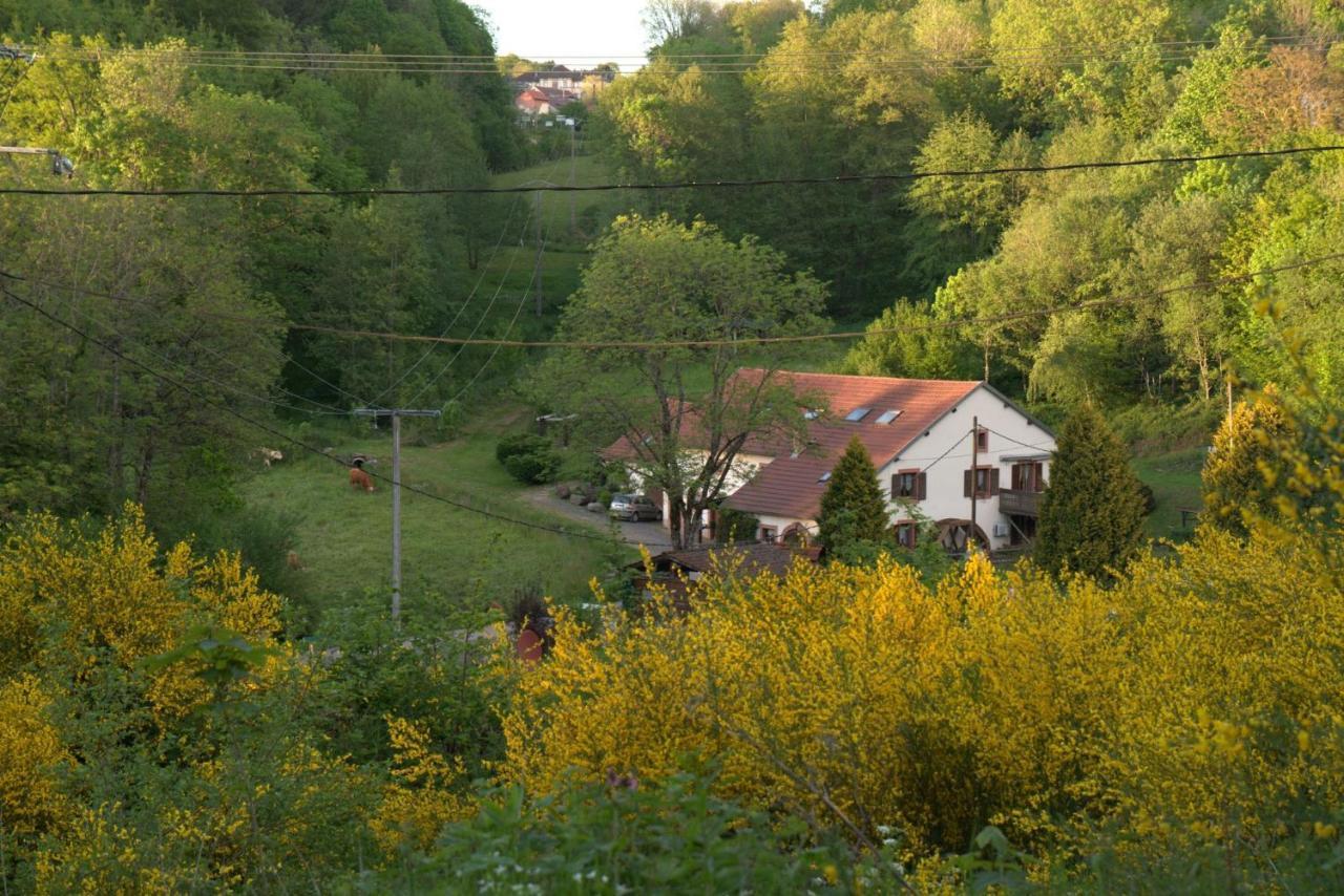 Vacance Conviviales Dans Les Vosges 8 Gites Ban-de-Sapt المظهر الخارجي الصورة