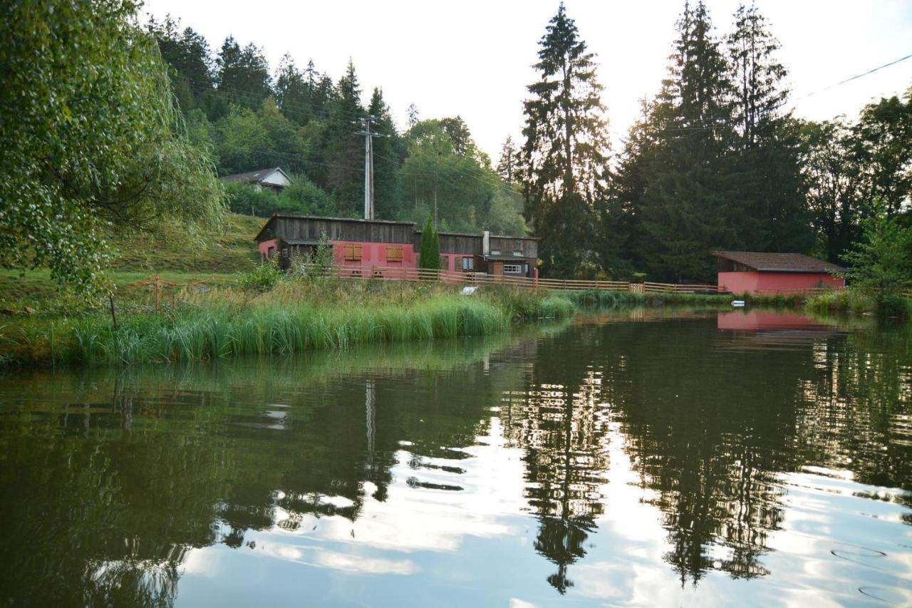 Vacance Conviviales Dans Les Vosges 8 Gites Ban-de-Sapt المظهر الخارجي الصورة