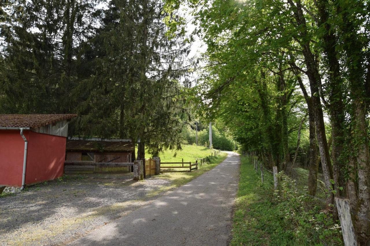 Vacance Conviviales Dans Les Vosges 8 Gites Ban-de-Sapt المظهر الخارجي الصورة